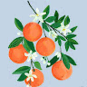 Meet your Posher, Madeline